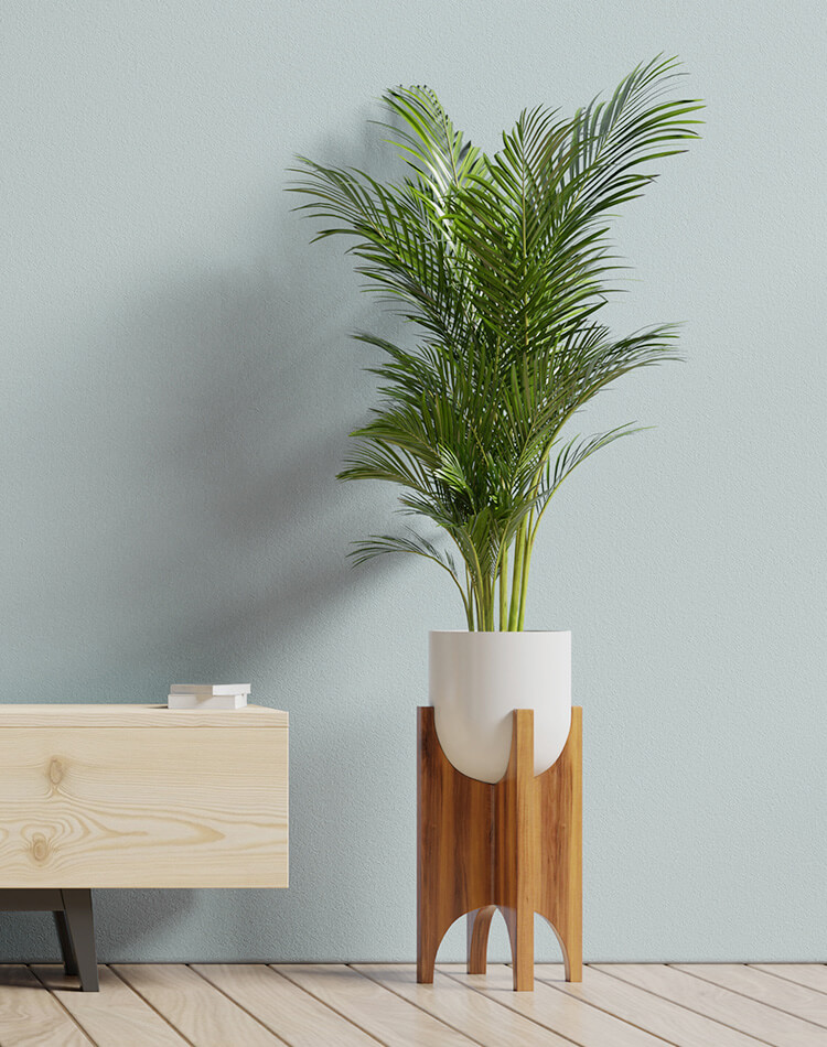 demo-decor-store-blog-single-classic-03