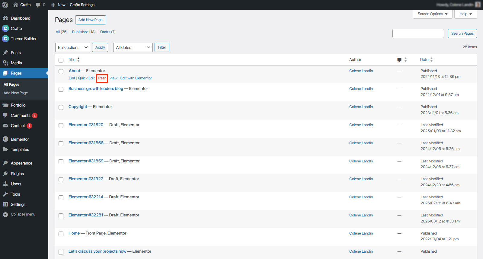 Create and Manage Pages in Crafto – Crafto Documentation