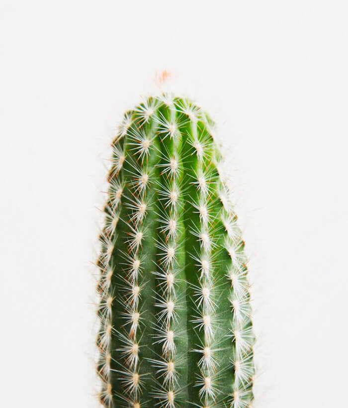 demo-it-business-portfolio-04