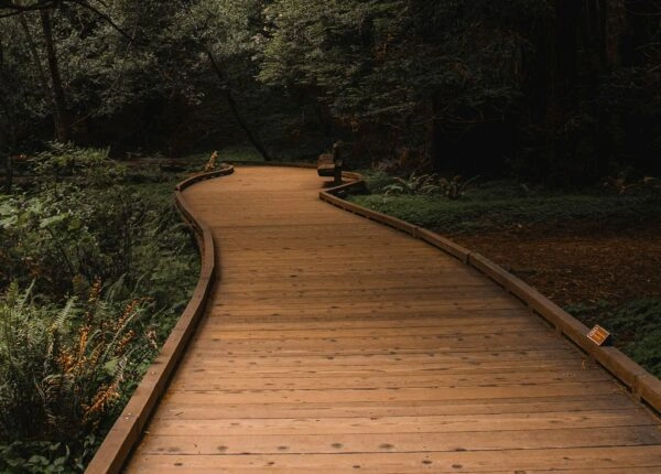 demo-magazine-home-29-600x430